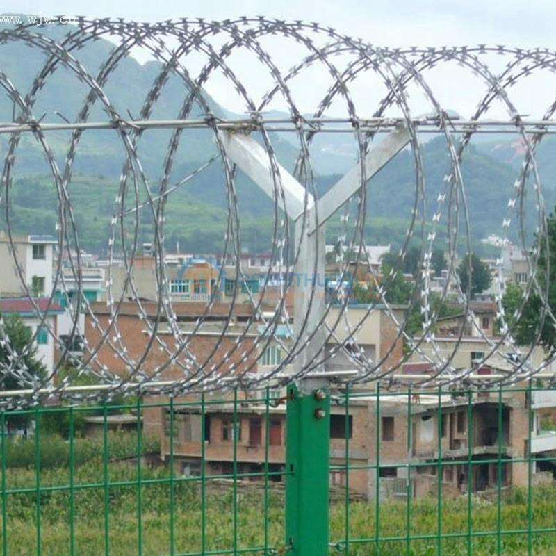 Dây thép gai hình dao